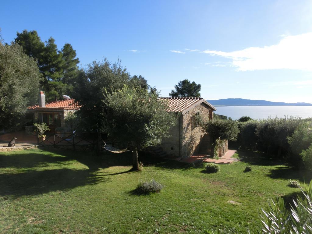 Talamoni B&B Talamone Esterno foto