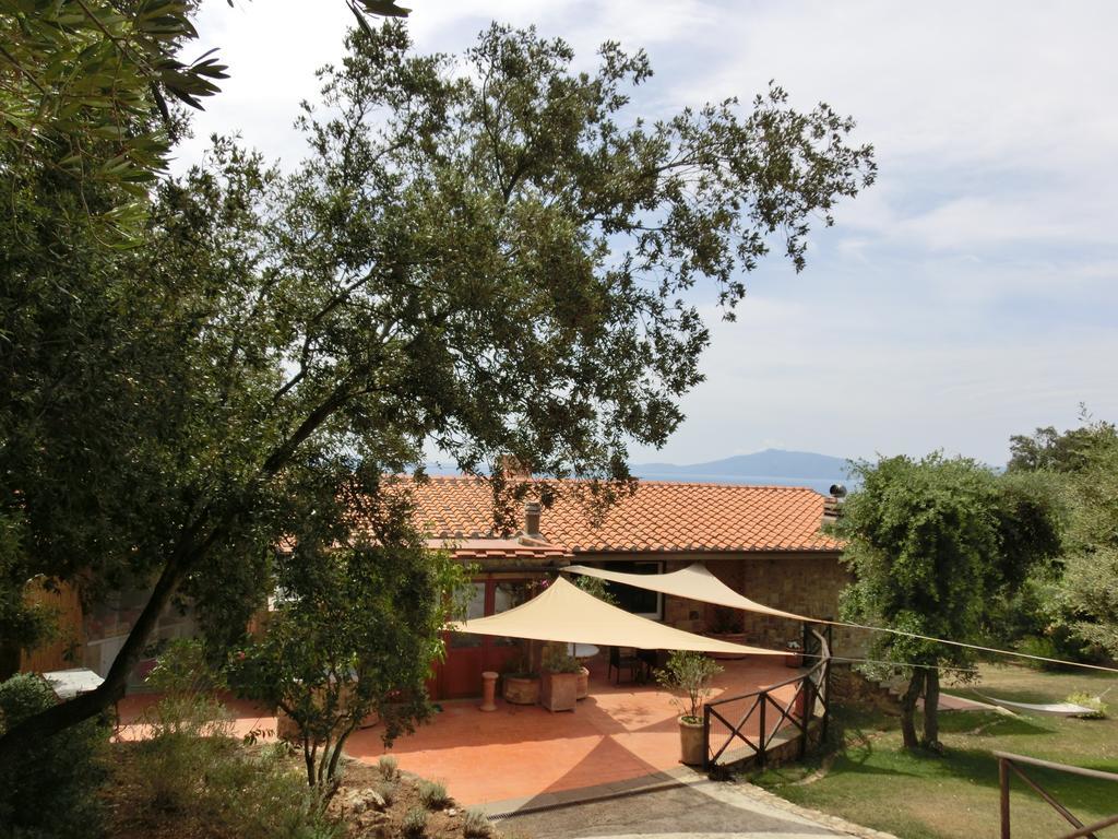 Talamoni B&B Talamone Esterno foto